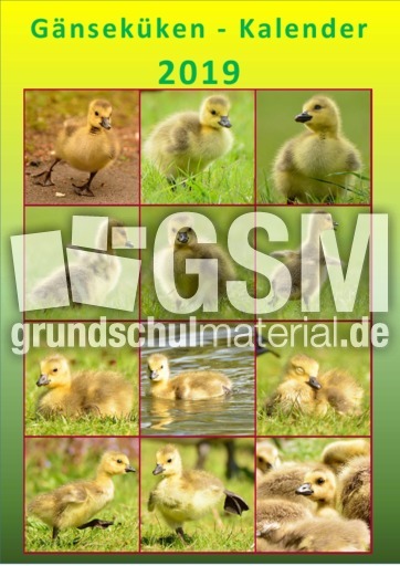 Gänseküken_Kalender_2019.pdf